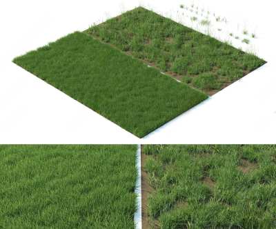 现代草坪3D模型下载
